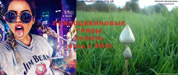 ПСИЛОЦИБИНОВЫЕ ГРИБЫ Няндома