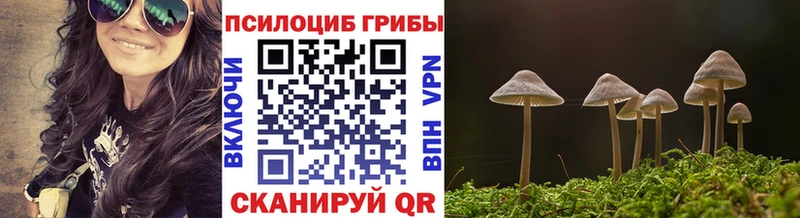 Псилоцибиновые грибы прущие грибы  наркота  Сим 